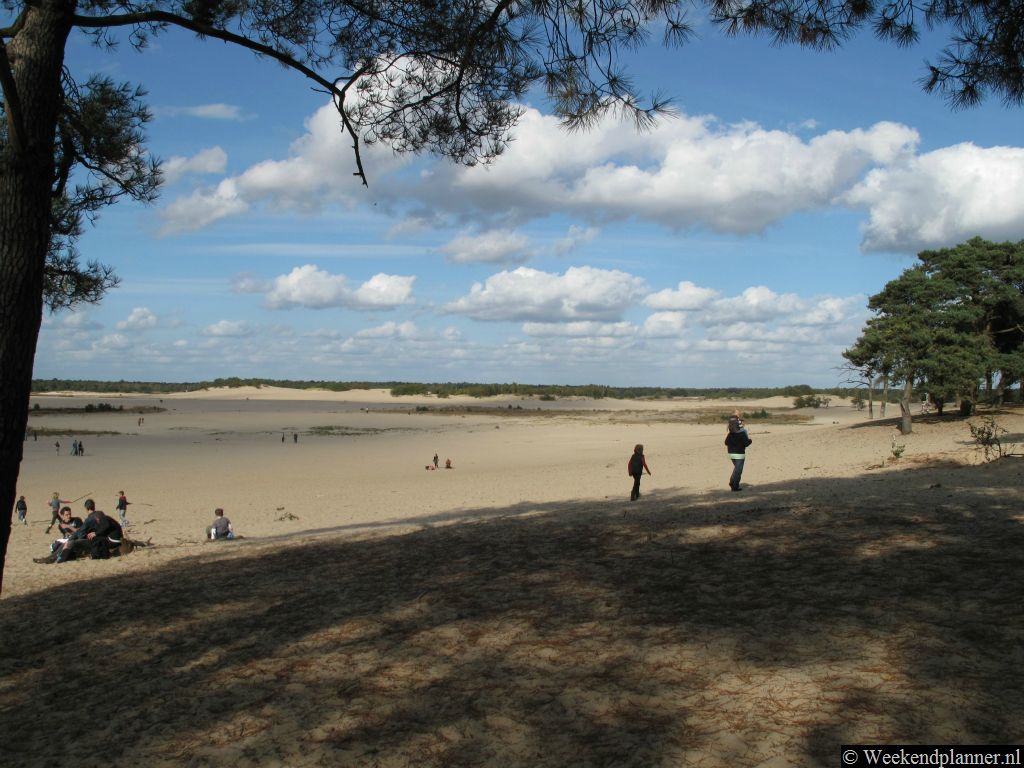 Hier bij Udenhout ligt een grote zandverstuiving. Tips: De Loonse en Drunense Duinen bij Udenhout.